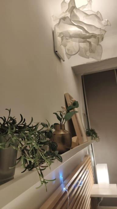 Appartement - Brando Zewnętrze zdjęcie